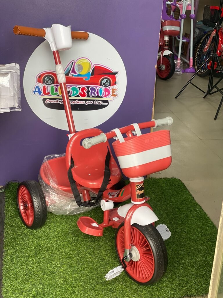 2 in 1 kids Push Tricycle