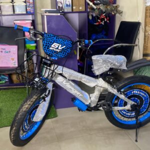 Gv Sport Bicycle With Big Tires
